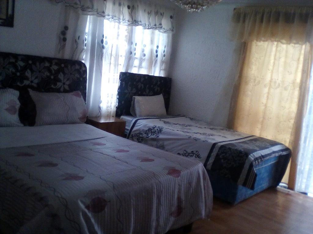 Guest House Macauly جوهانسبورغ المظهر الخارجي الصورة